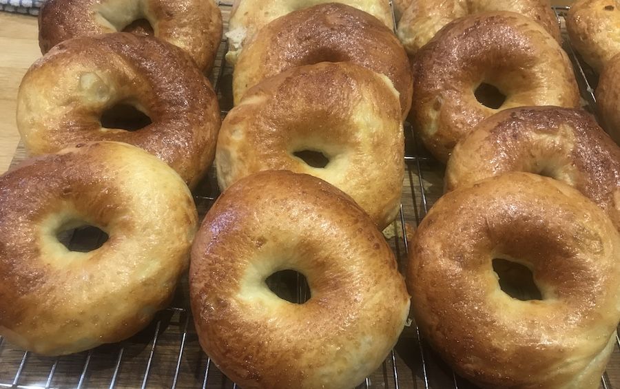 Freshly baked plain bagels cooling on a rack Jacob's Bagels